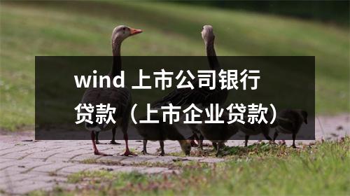 wind 上市公司银行贷款（上市企业贷款）