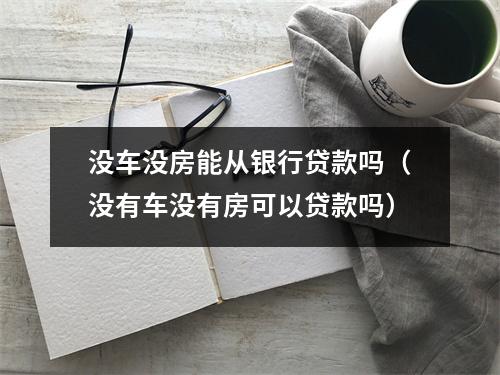 没车没房能从银行贷款吗（没有车没有房可以贷款吗）