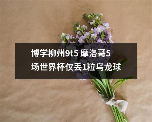 博学柳州9t5 摩洛哥5场世界杯仅丢1粒乌龙球