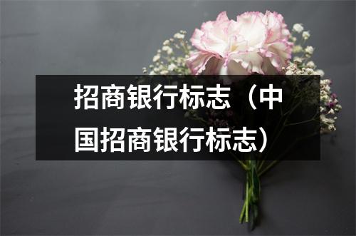 招商银行标志（中国招商银行标志）