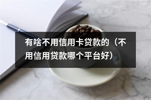 有啥不用信用卡贷款的（不用信用贷款哪个平台好）