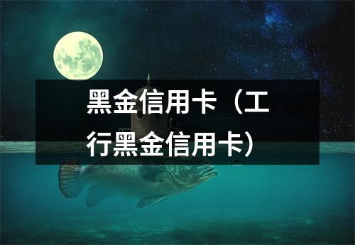 黑金信用卡（工行黑金信用卡）
