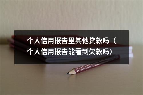 个人信用报告里其他贷款吗（个人信用报告能看到欠款吗）