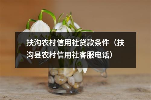 扶沟农村信用社贷款条件（扶沟县农村信用社客服电话）