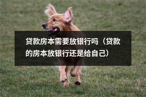 贷款房本需要放银行吗（贷款的房本放银行还是给自己）