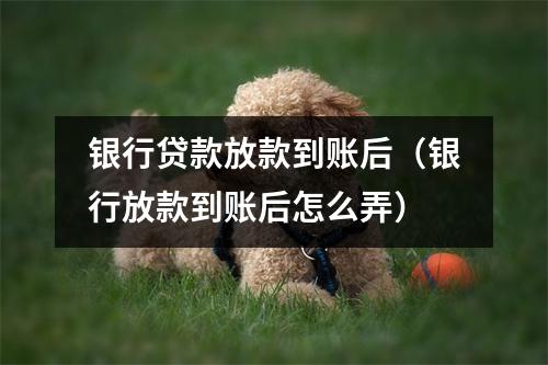 银行贷款放款到账后（银行放款到账后怎么弄）