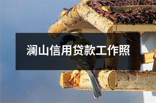 澜山信用贷款工作照