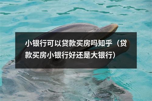 小银行可以贷款买房吗知乎（贷款买房小银行好还是大银行）