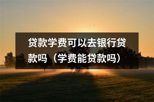 贷款学费可以去银行贷款吗（学费能贷款吗）
