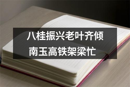 八桂振兴老叶齐倾 南玉高铁架梁忙