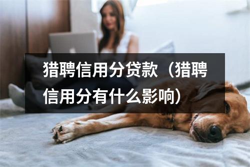 猎聘信用分贷款（猎聘信用分有什么影响）