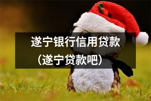 遂宁银行信用贷款（遂宁贷款吧）