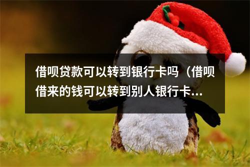 借呗贷款可以转到银行卡吗（借呗借来的钱可以转到别人银行卡吗）