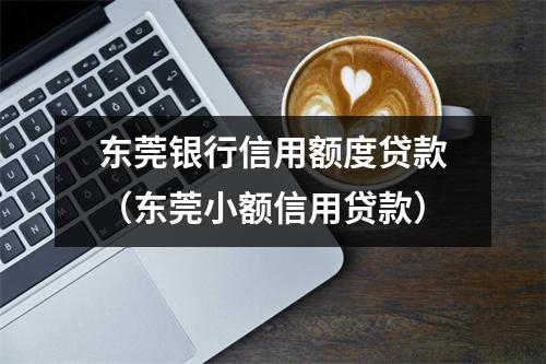 东莞银行信用额度贷款（东莞小额信用贷款）