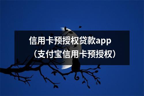 信用卡预授权贷款app（支付宝信用卡预授权）