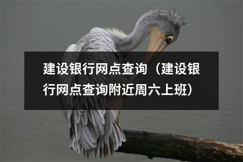 建设银行网点查询（建设银行网点查询附近周六上班）