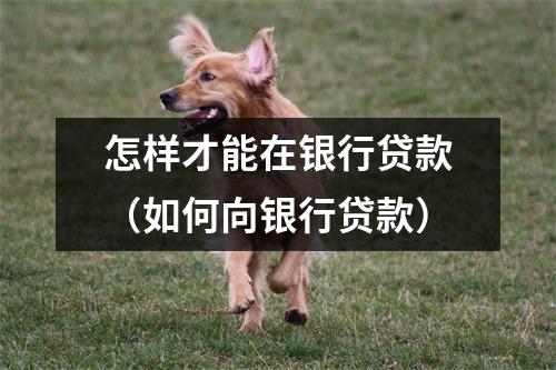 怎样才能在银行贷款（如何向银行贷款）