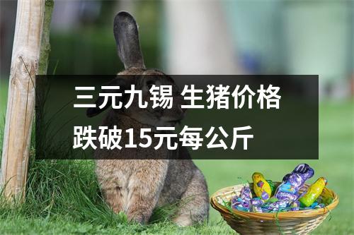 三元九锡 生猪价格跌破15元每公斤