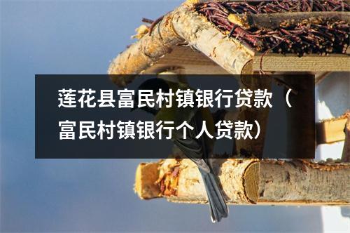 莲花县富民村镇银行贷款（富民村镇银行个人贷款）