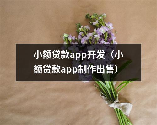 小额贷款app开发（小额贷款app制作出售）
