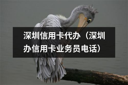 深圳信用卡代办(深圳办信用卡业务员电话)