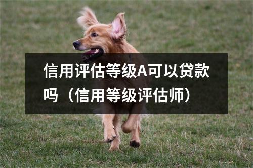 信用评估等级A可以贷款吗（信用等级评估师）