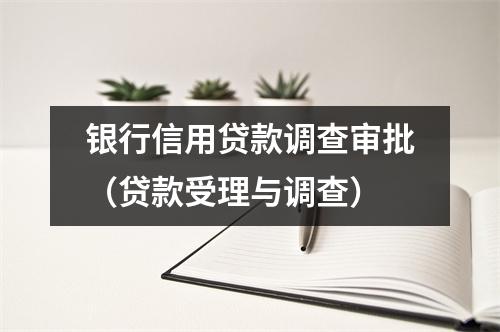 银行信用贷款调查审批（贷款受理与调查）