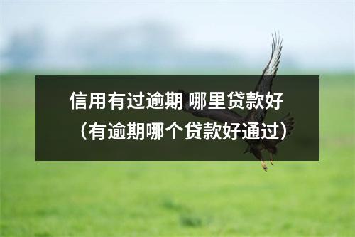 信用有过逾期 哪里贷款好（有逾期哪个贷款好通过）