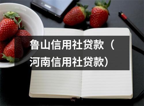 鲁山信用社贷款（河南信用社贷款）