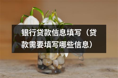 银行贷款信息填写（贷款需要填写哪些信息）