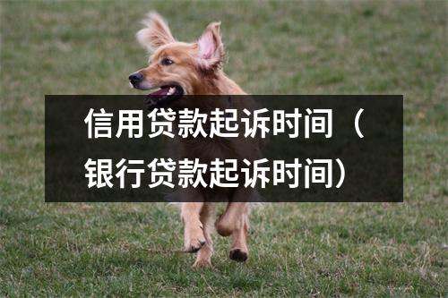 信用贷款起诉时间（银行贷款起诉时间）