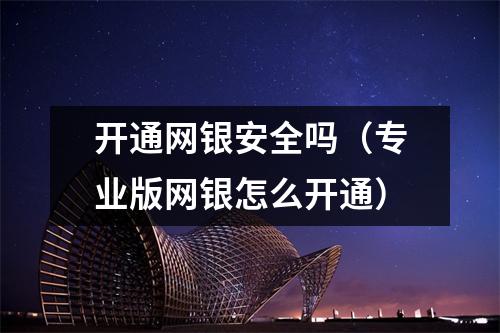 开通网银安全吗（专业版网银怎么开通）