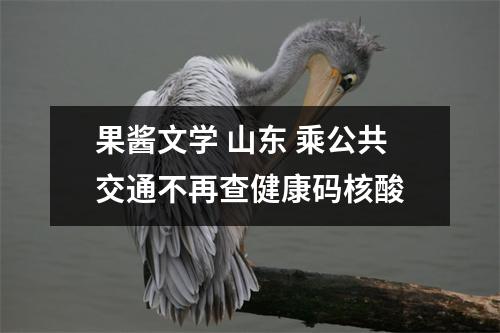 果酱文学 山东 乘公共交通不再查健康码核酸