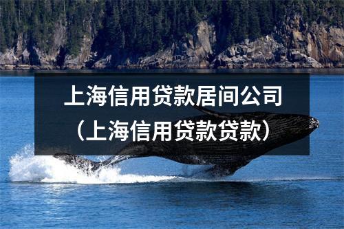 上海信用贷款居间公司（上海信用贷款贷款）