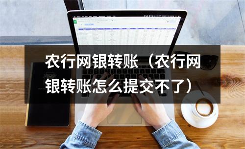 农行网银转账（农行网银转账怎么提交不了）