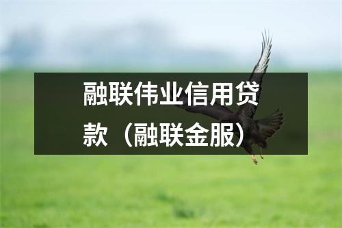 融联伟业信用贷款（融联金服）
