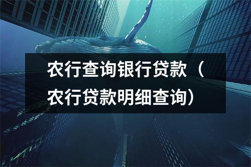 农行查询银行贷款（农行贷款明细查询）