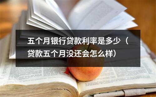 五个月银行贷款利率是多少（贷款五个月没还会怎么样）