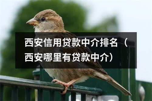 西安信用贷款中介排名（西安哪里有贷款中介）