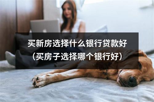 买新房选择什么银行贷款好（买房子选择哪个银行好）