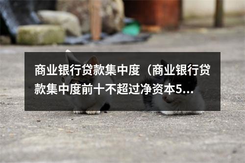 商业银行贷款集中度（商业银行贷款集中度前十不超过净资本50%）