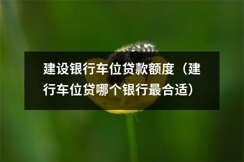 建设银行车位贷款额度（建行车位贷哪个银行最合适）