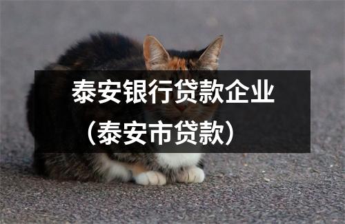 泰安银行贷款企业（泰安市贷款）