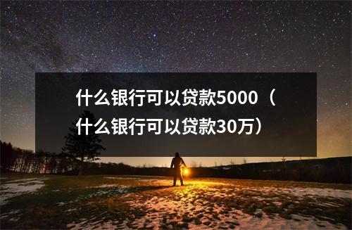什么银行可以贷款5000（什么银行可以贷款30万）