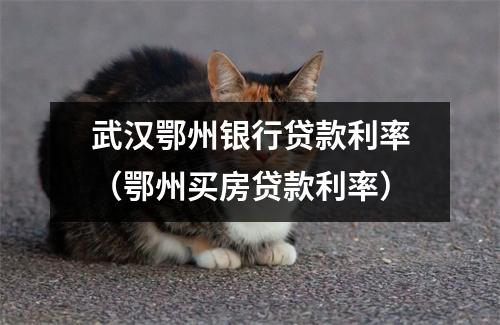 武汉鄂州银行贷款利率（鄂州买房贷款利率）