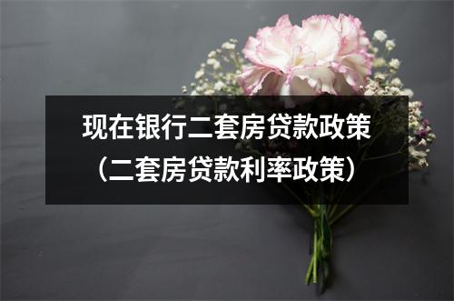 现在银行二套房贷款政策(二套房贷款利率政策)