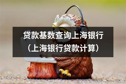 贷款基数查询上海银行（上海银行贷款计算）