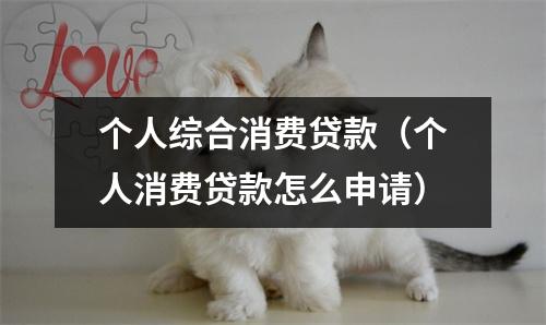 个人综合消费贷款(个人消费贷款怎么申请)