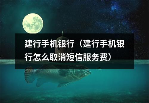 建行手机银行(建行手机银行怎么取消短信服务费)