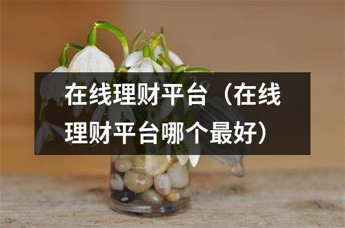 在线理财平台（在线理财平台哪个最好）